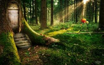 Enchanted Forest Wallpaper HD