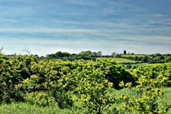 Ireland Irish Countryside Farmland HD Wallpaper Of Car Pictures