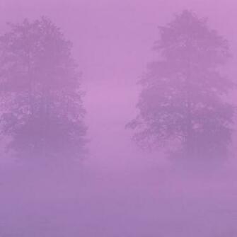 Pink iPad Background Wallpaper Retina HD