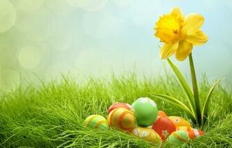 Eggs And Yellow Flower For Easter Wallpaper Image