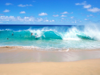 Fun On The Playful Ocean Waves Wallpaper Beach