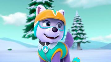 Paw Patrol Scene Photo