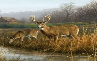 Animal Wallpaper Wild Facts Videos Animals Pictures
