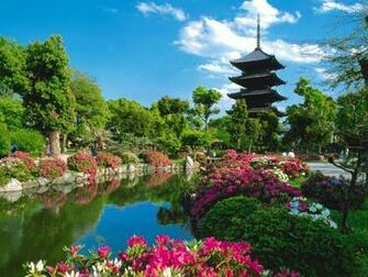 Spring Summer All Background Wallpaper Nature
