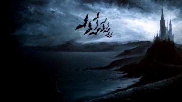 Halloween Bat Hq Background Wallpaper Witch Desktop