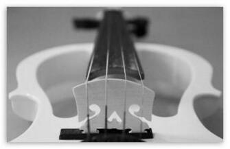 Black White Violin HD Desktop Wallpaper Widescreen High Definition