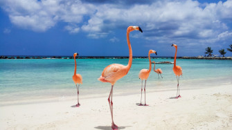 Aruba Travel Guide Marriott Bonvoy Traveler