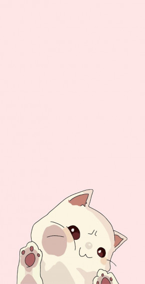 Cute Cat Wallpaper Mobile Phone