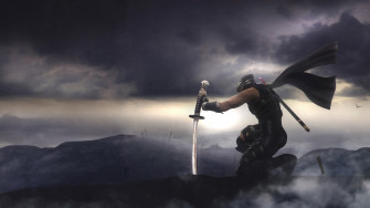 Ninja Gaiden HD Wallpaper