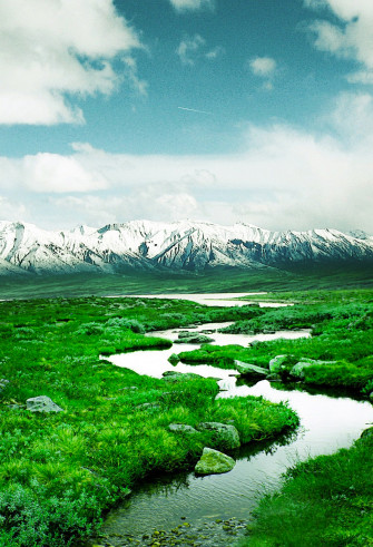 Landscape Wallpaper For iPhone Pro Max X