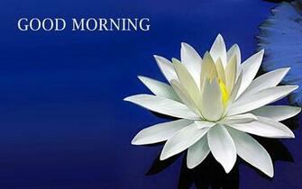 Good Morning Wishes New HD Wallpaper Rocks