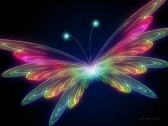 Beautiful Butterfly Colorful Desktop HD Wallpaper Best