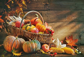 Amazon Yeele Autumn Harvest Festival Background For