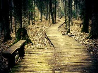 Path Wallpaper