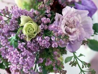 Wallpaper Rose Flower Lilacs Bouquet Spring HD Background