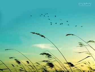 Migration Wallpaper Christian And Background