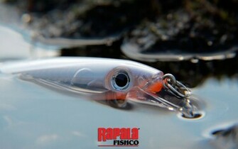 Rapala Fishco Wallpaper