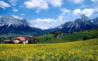 France Landscape Flower Farm Wallpaper City
