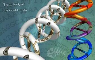 Digital Art Double Helix Wallpaper