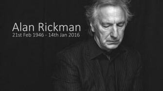 Alan Rickman Wallpaper X Net