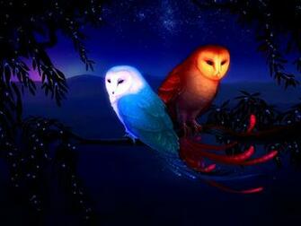 Owl Desktop Background Wallpaper Fantasy
