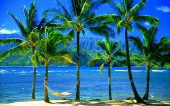 High Definition Wallpaper Widescreen Lcd Desktop
