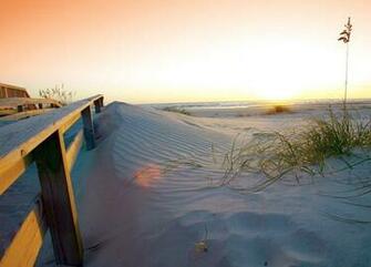 Beach HD Live Wallpaper