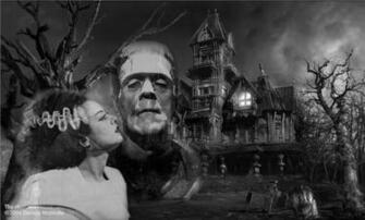 Frankensteins Braut Bild Von