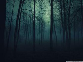 Dark Forest 4k HD Desktop Wallpaper For Ultra Tv Tablet