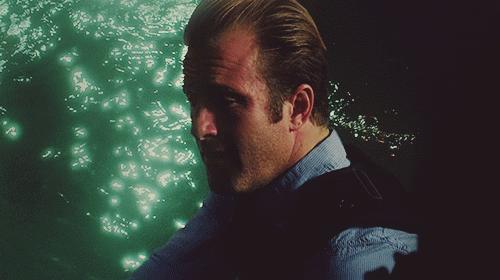 Hawaii Five Image Fan Art Wallpaper And