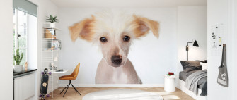 Hairless Chinese Crested Puppy Trendy Wall Mural Photowall