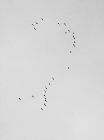 Pic Of A Question Mark Image In Collection