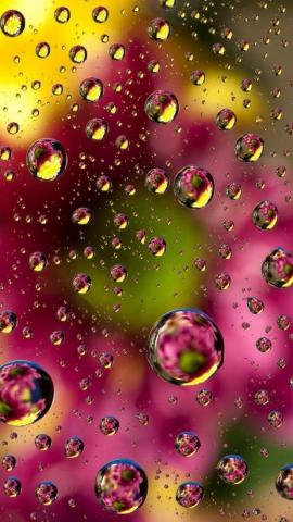 Phone Wallpaper Dump Screen Savers Bubbles