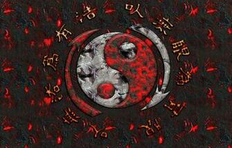 Photo Of Martial Arts Stars Wallpaper