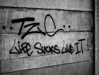 Life Sucks Photo Answers