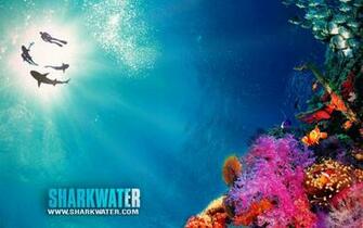 Reef Wallpaper