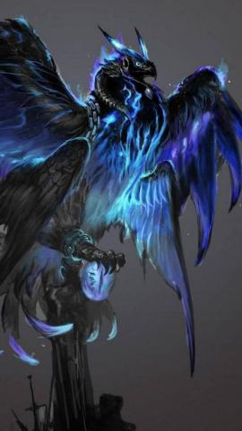 Blue Phoenix Wallpaper Top Background