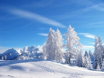 Winter Wallpaper HD For Desktop Computer