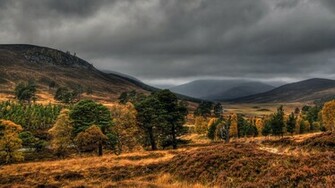 Tags HD Wallpaper X