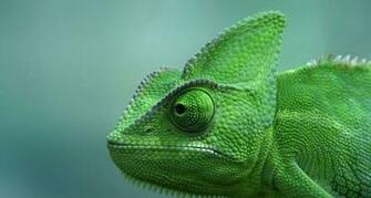 Bing Wallpaper Archive