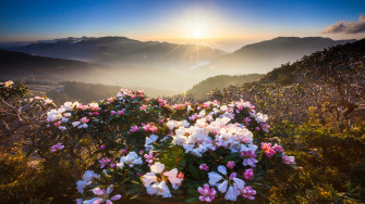 Windows Wallpaper Just Released By Microsoft