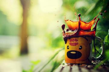 Wallpaper Bears Coffee Water Splash Mug Food Closeup
