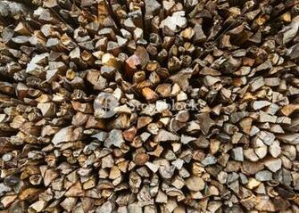 Stack Of Firewood Chopped Background Royalty Stock