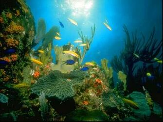 Ocean Wallpaper And Animations