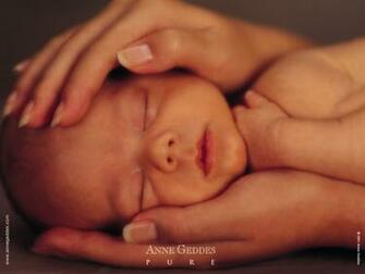 Anne Geddes Baby Wallpaper Prints Desktop