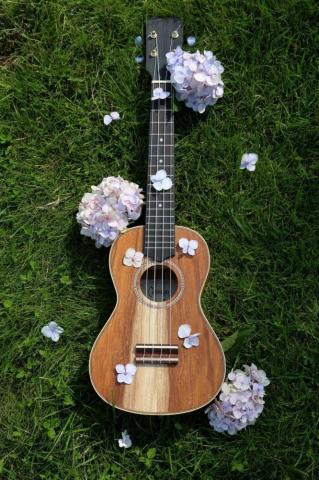 Ukulele Wallpaper
