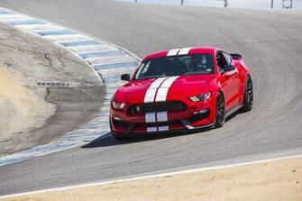 Shelby Mustang Gt350 Image Ford