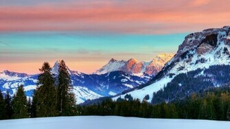 Wallpaper Forest Winter Alps Switzerland Swiss