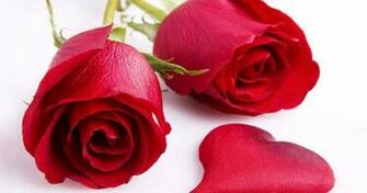 Happiness Style Happy Rose Day 7th February HD