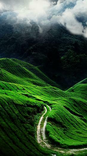 Nature Wallpaper For iPhone